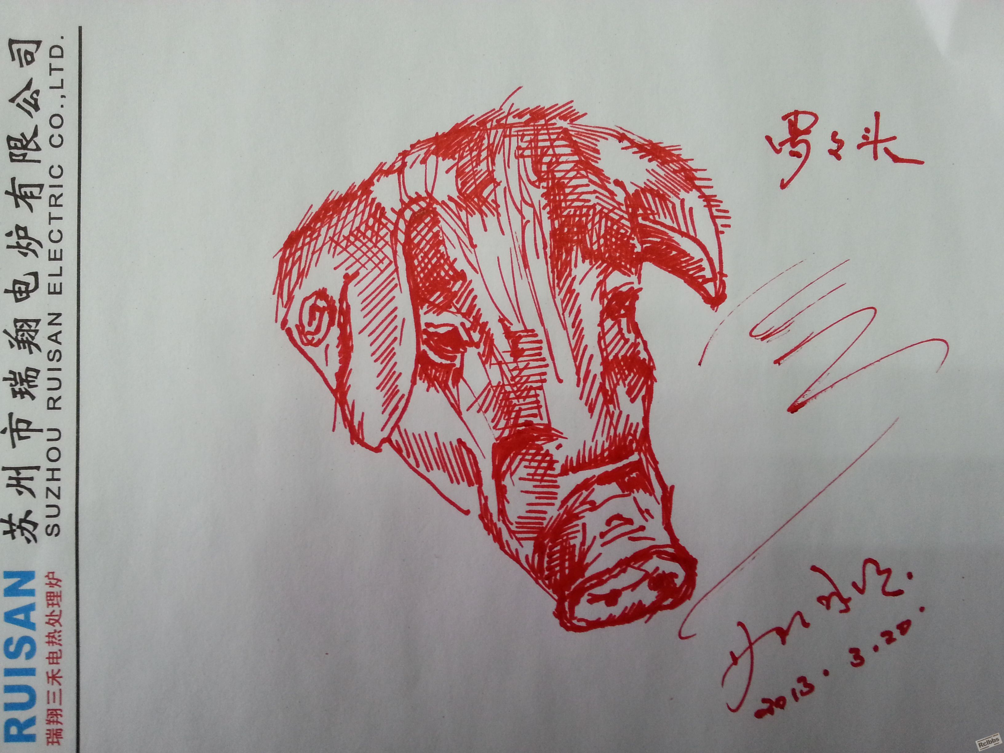 20130320_123658.jpg