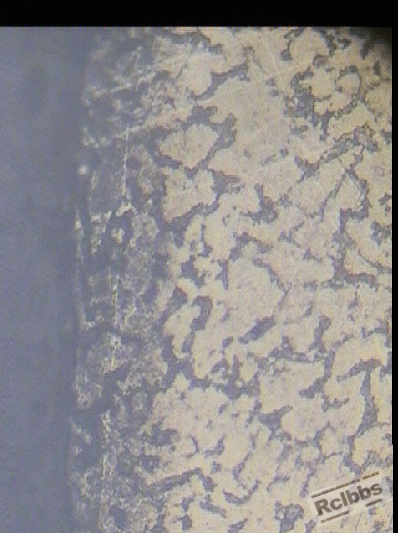 淬火层边界组织 拷贝.gif