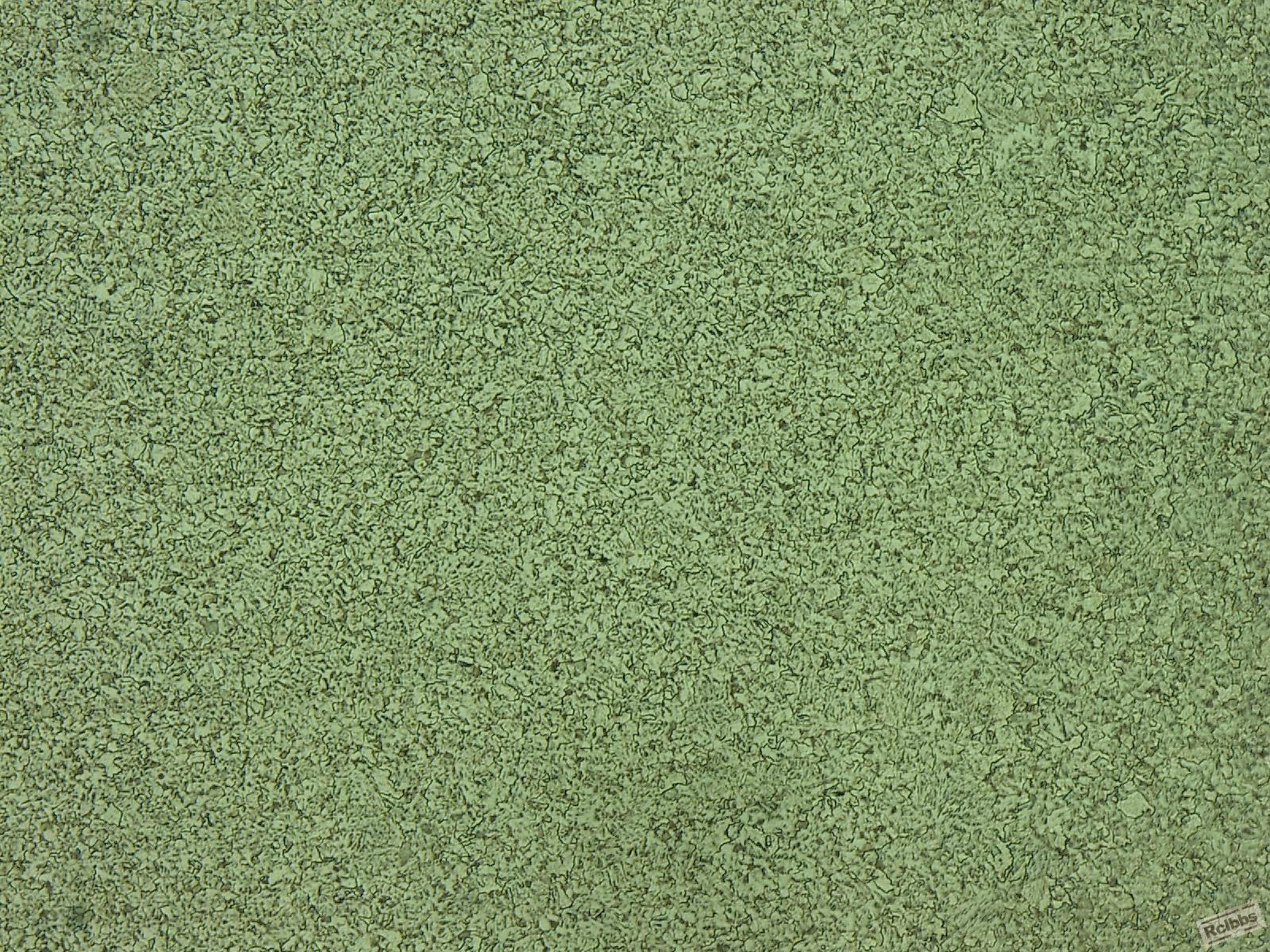 200X-204-.jpg