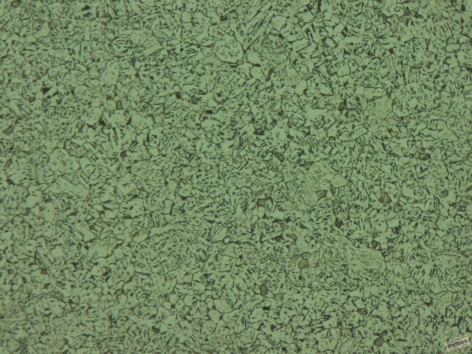 500X-204c.jpg