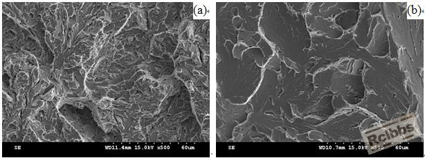 捕获.JPG