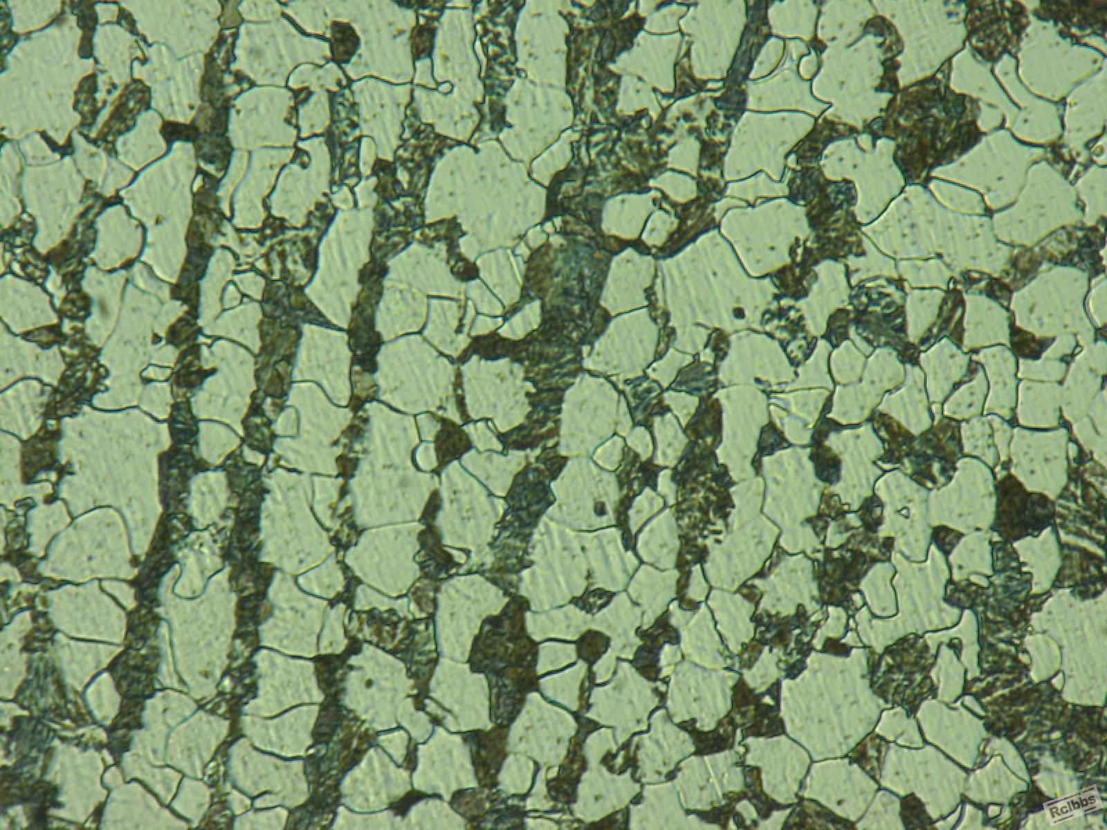 ycl_204_1000-1.jpg