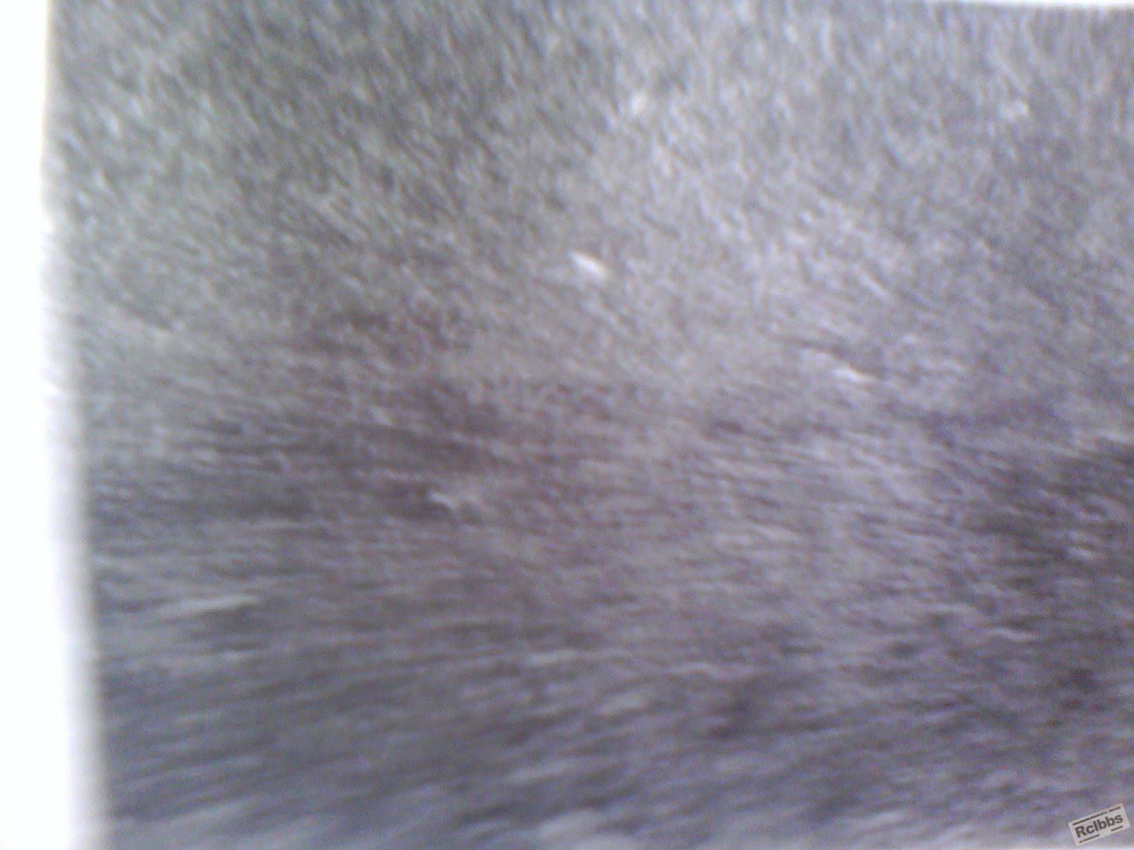 IMG_20130325_162150_0.jpg