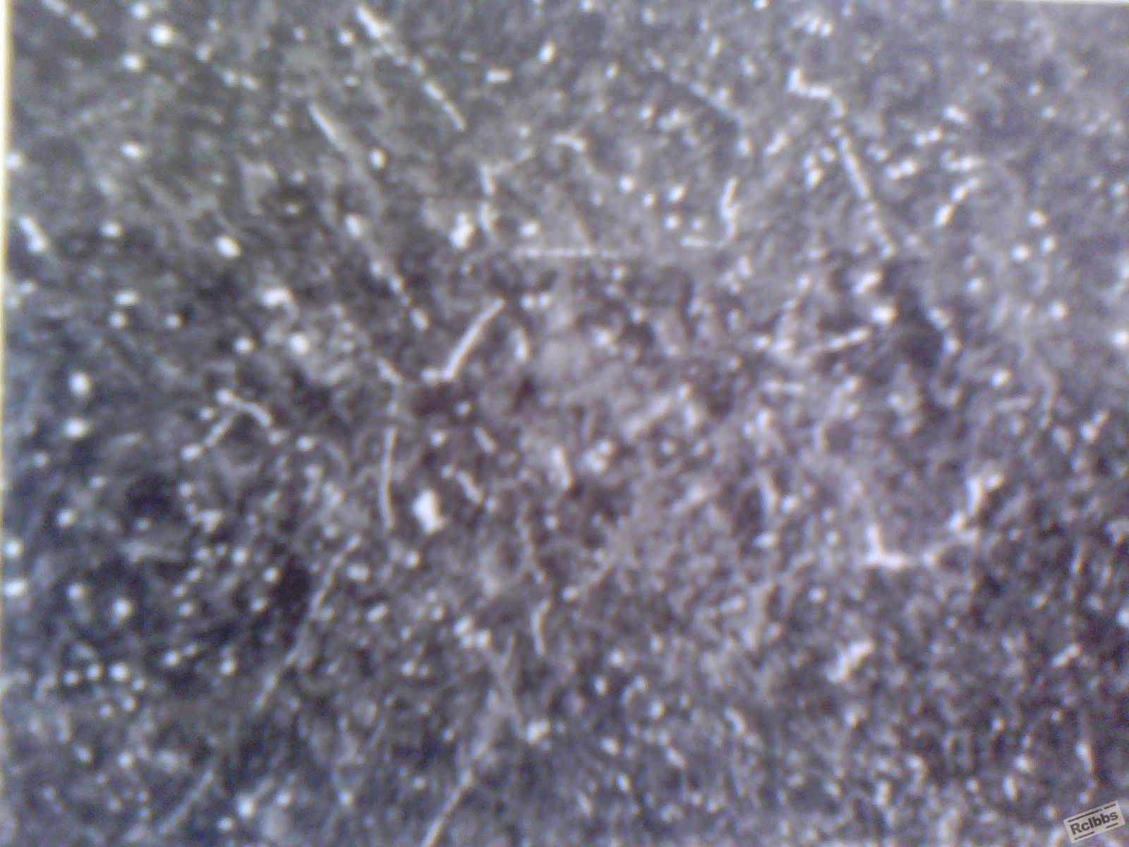 IMG_20130325_162130_0.jpg