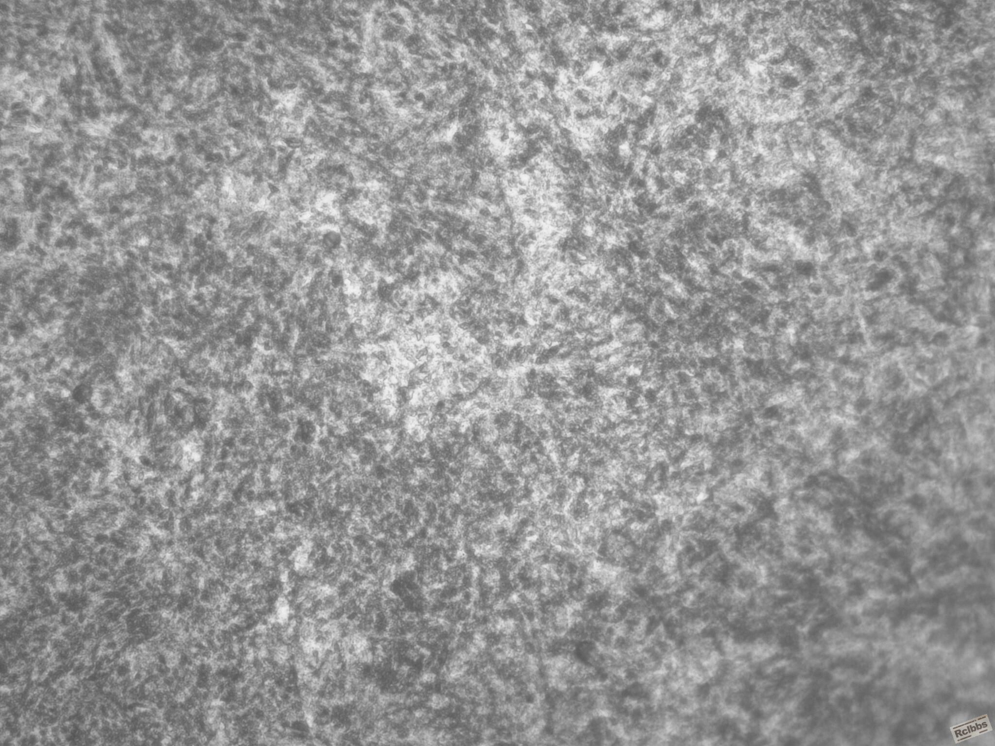 轴边部500X130326_002.JPG