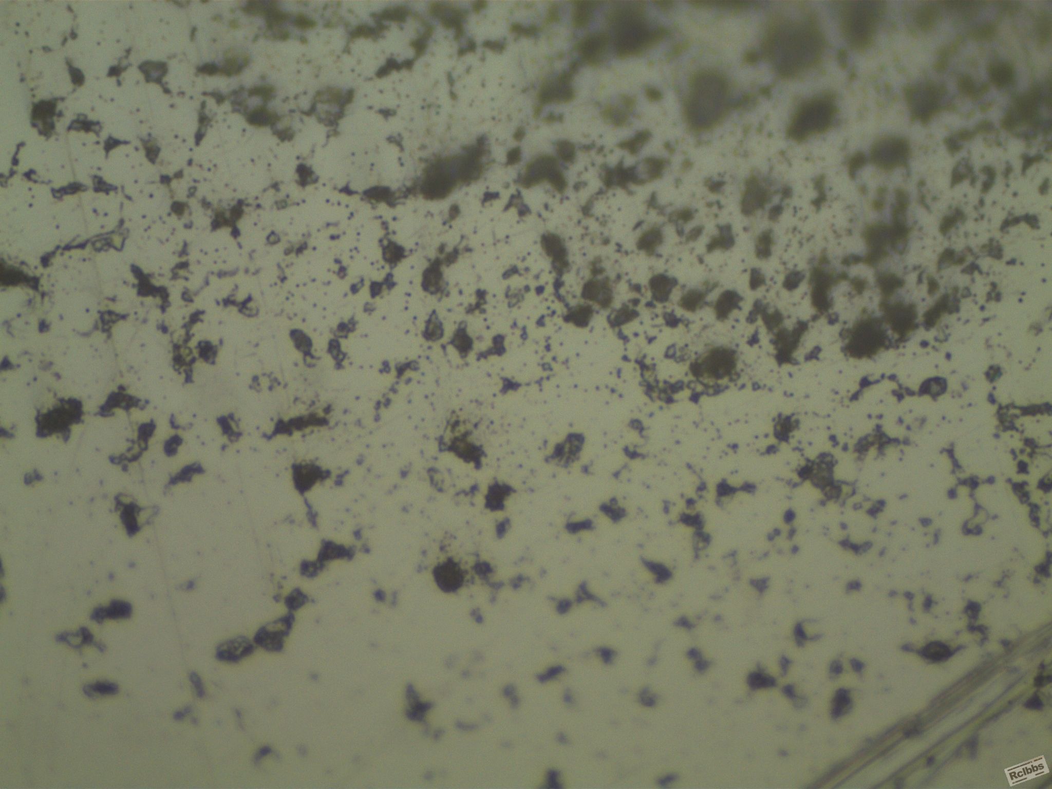 HW1-1-1000X.JPG