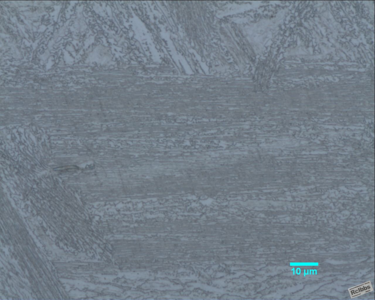 500倍