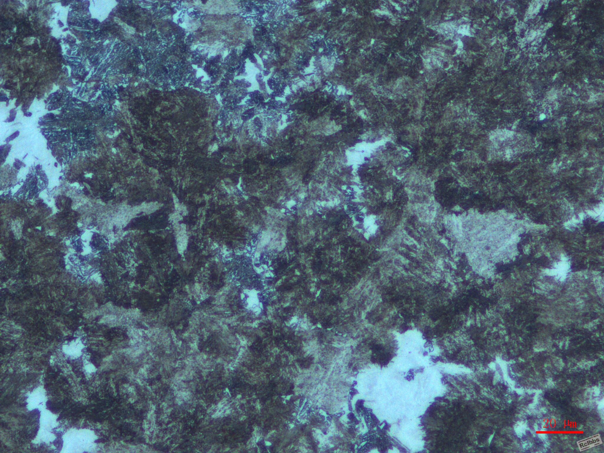 J03012-500-1.jpg