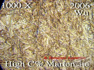 1000x马-奥组织