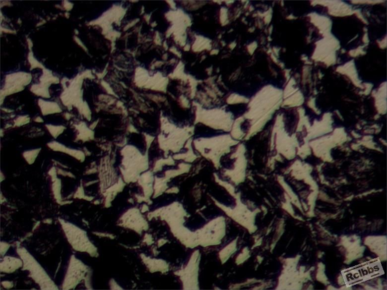 心部组织，400X.jpg