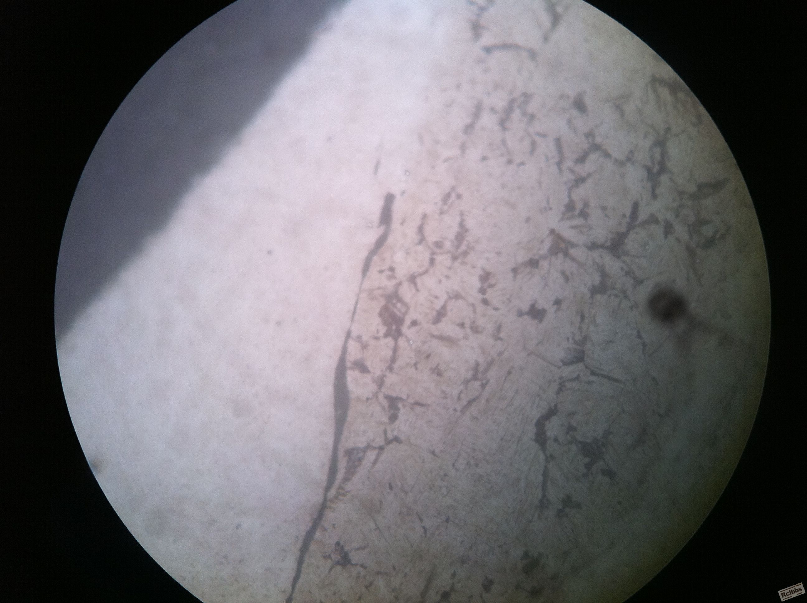 照片 008.jpg