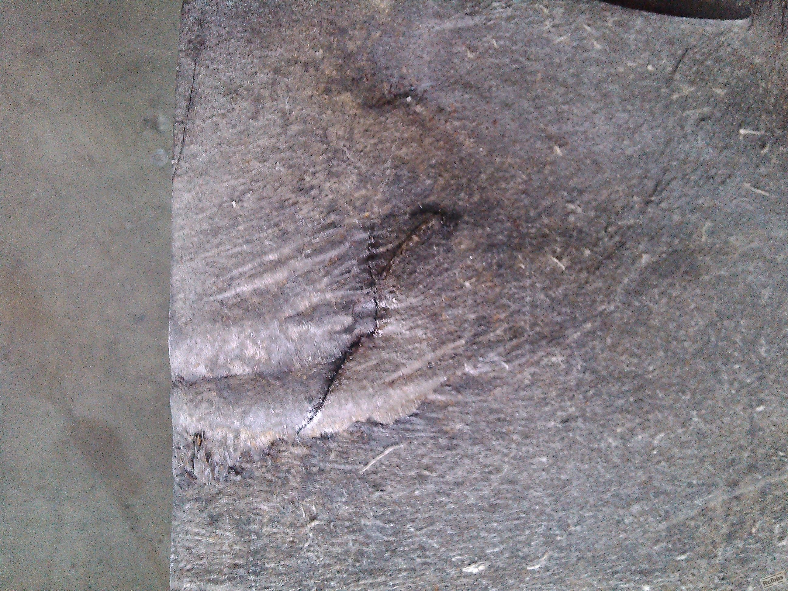 IMG_20130403_114004.jpg