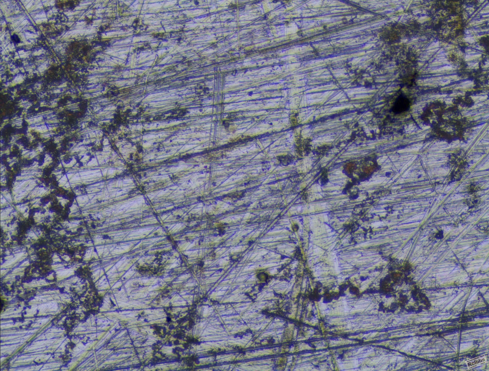 image1.JPG