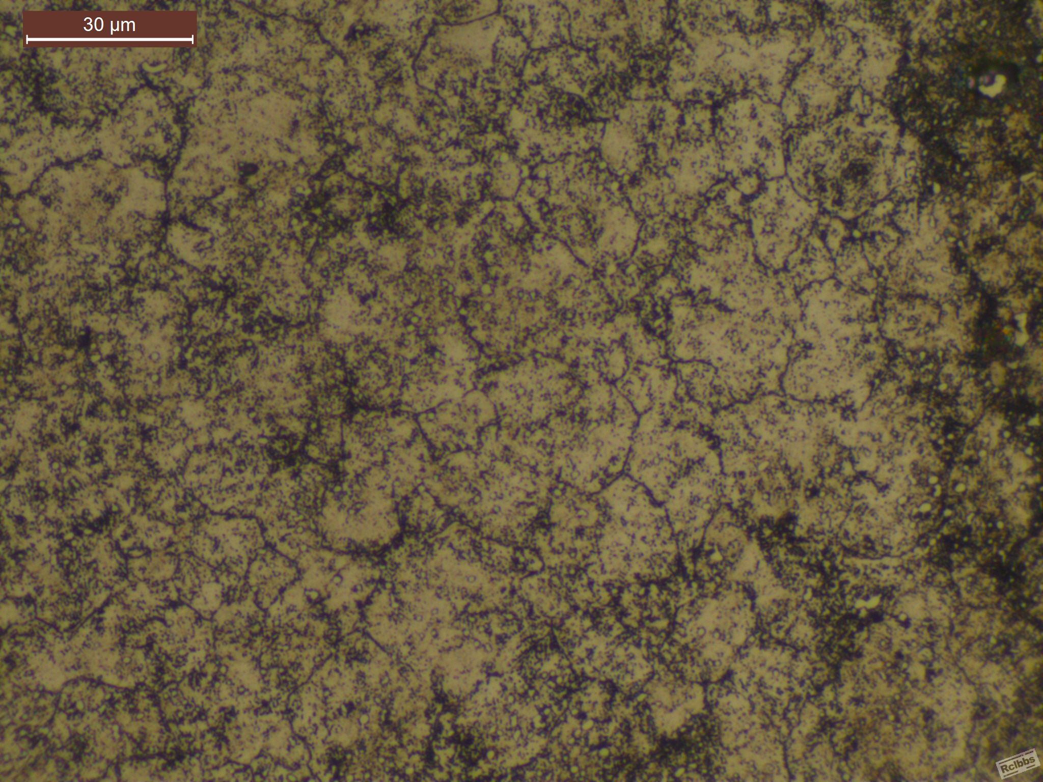 500X0023.jpg