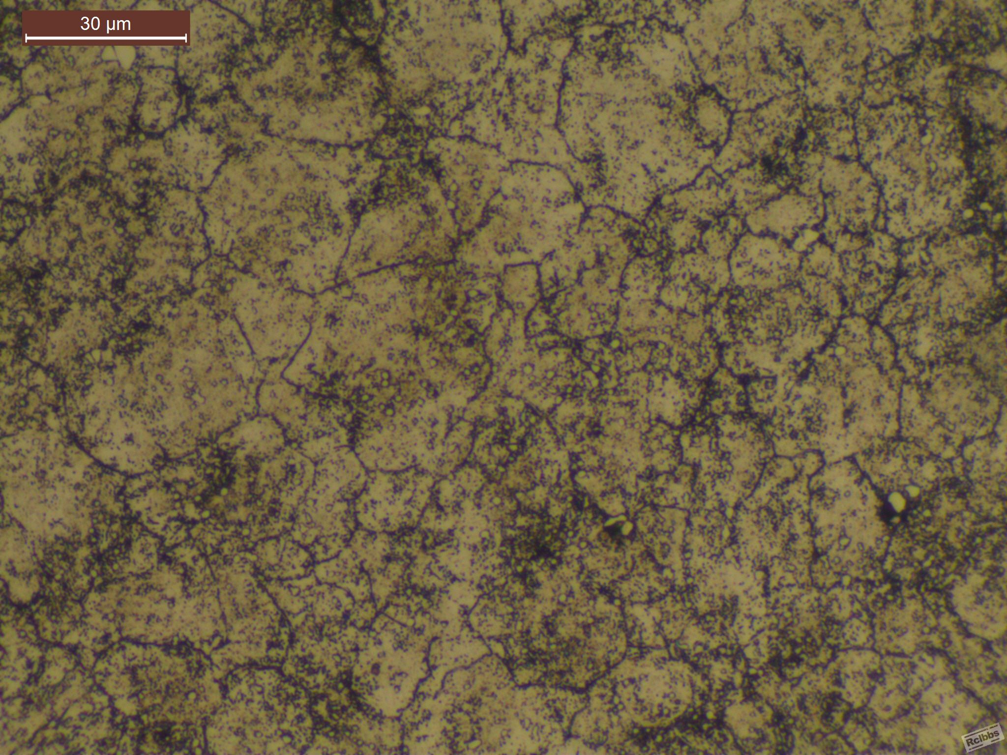 500X0030.jpg