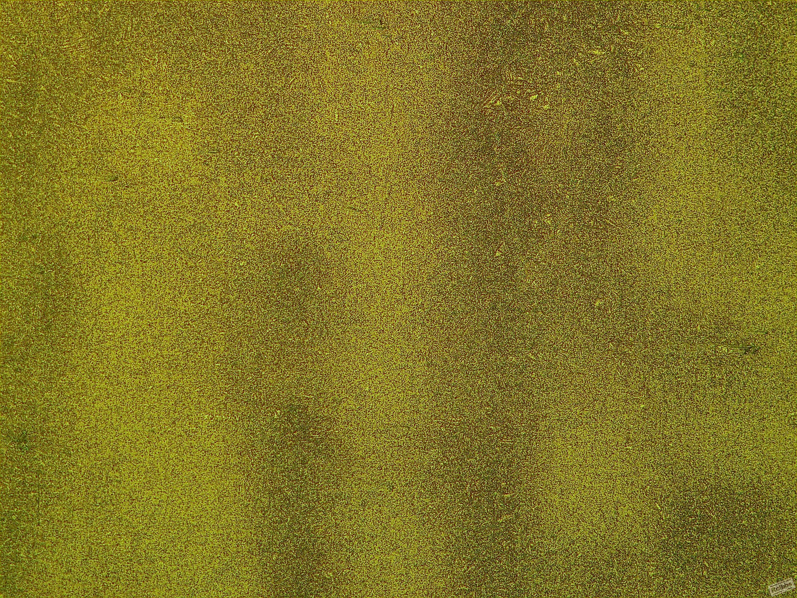 1#-100X-0011.jpg