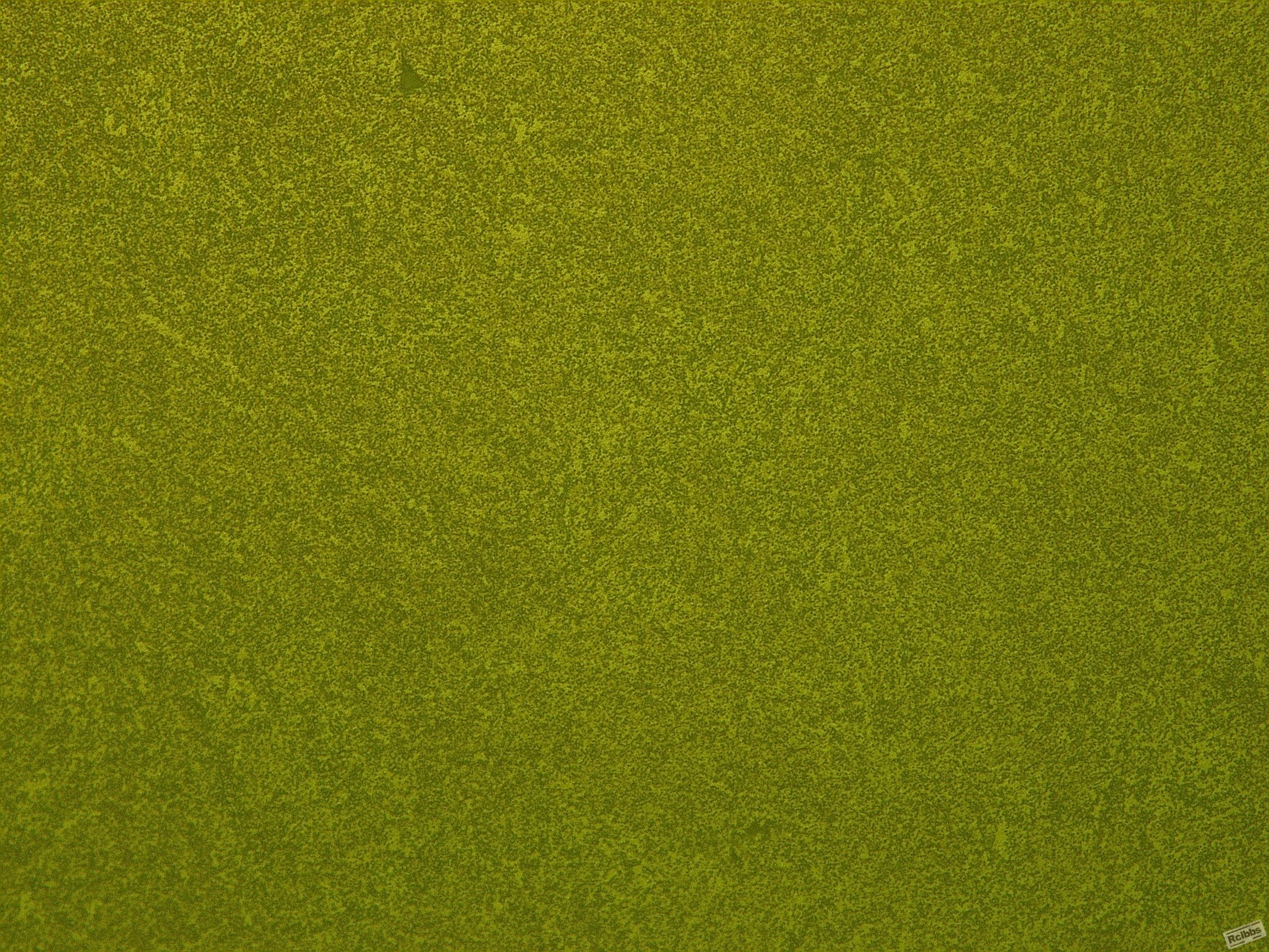 1#-500X-0012 亮区.jpg