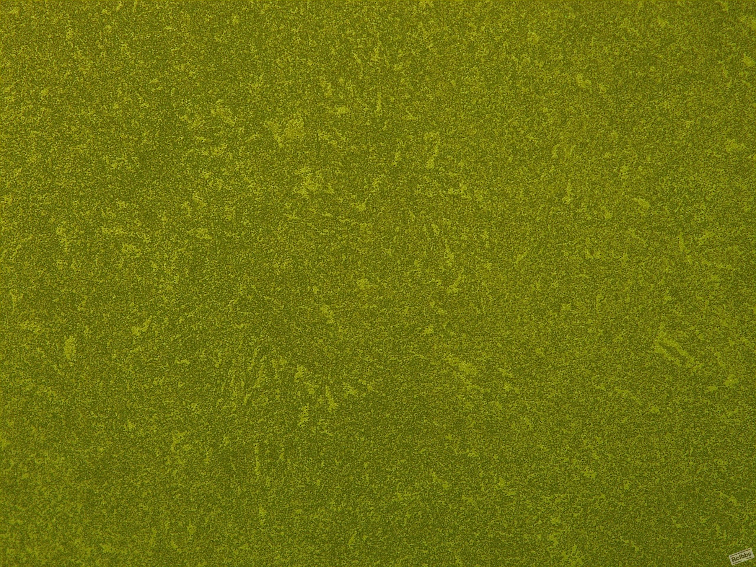 1#-500X-0013 暗区.jpg