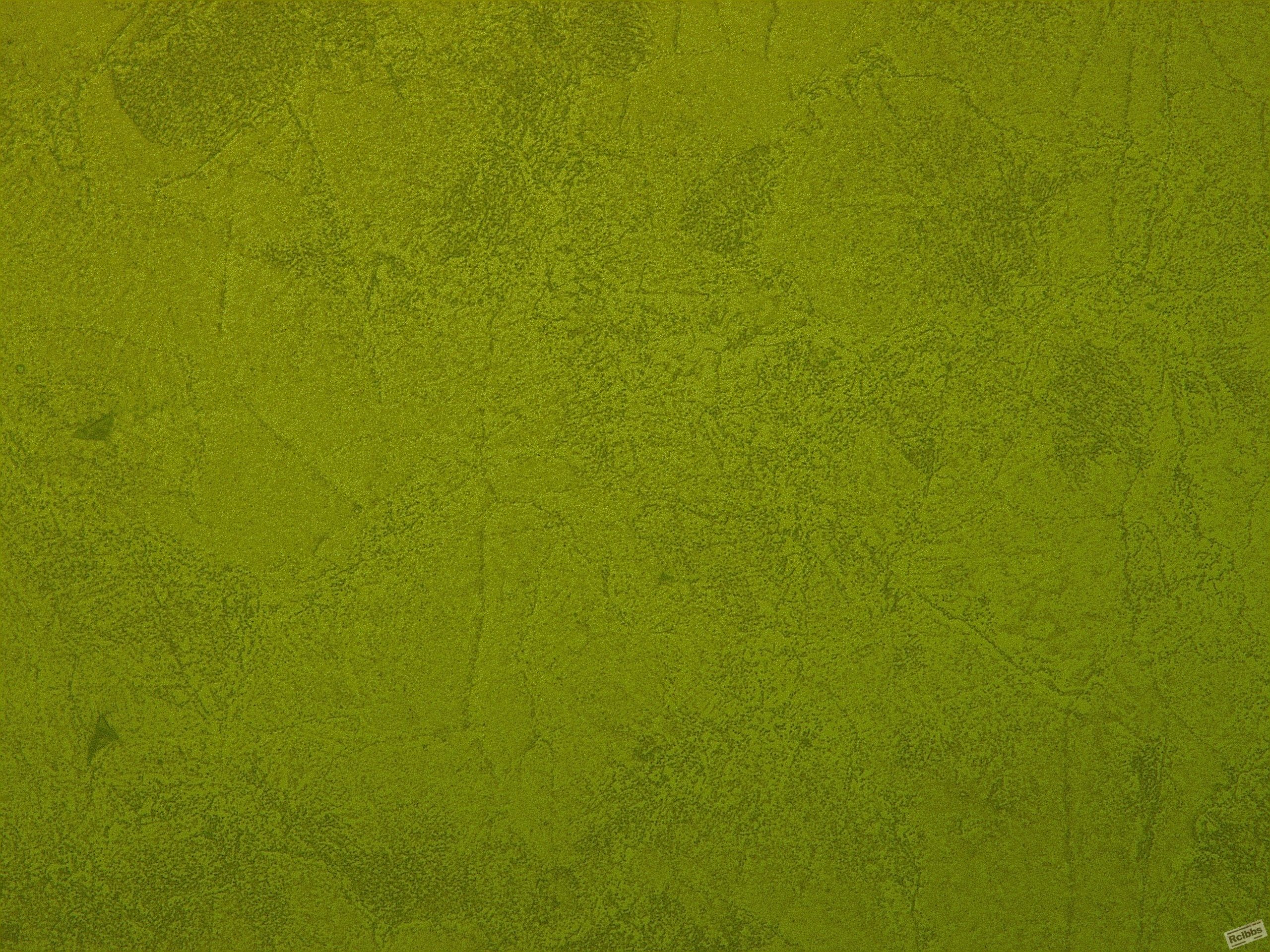 1-a 500.jpg