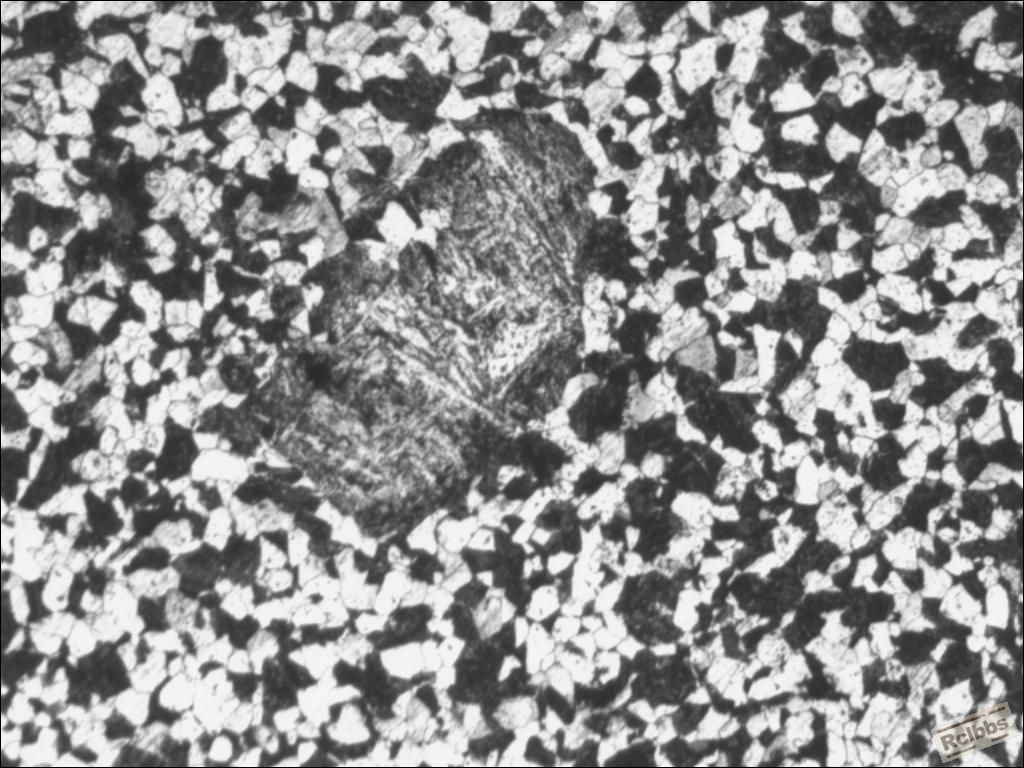 TSView100xx.jpg