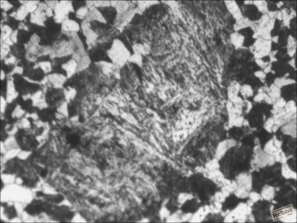 TSView200x.jpg