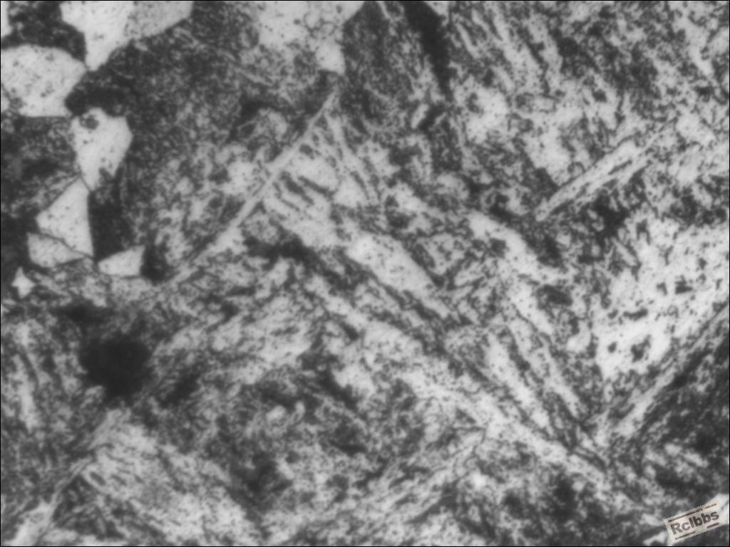 TSView400x.jpg