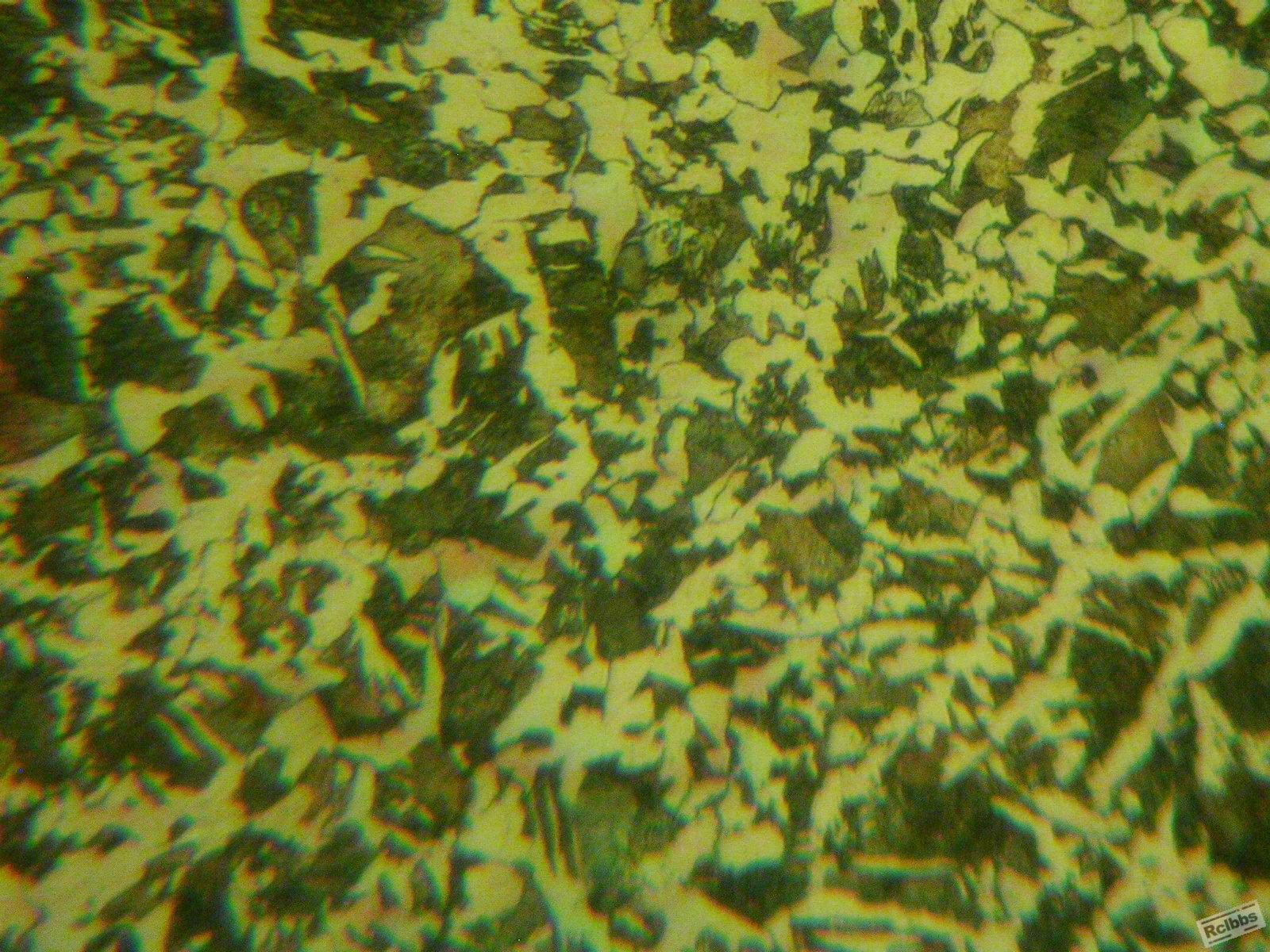 DSCN9689.JPG