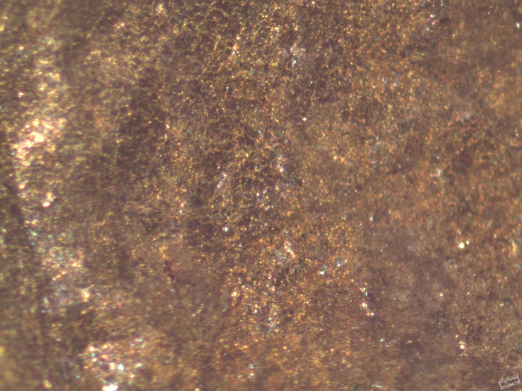 50x-3.jpg