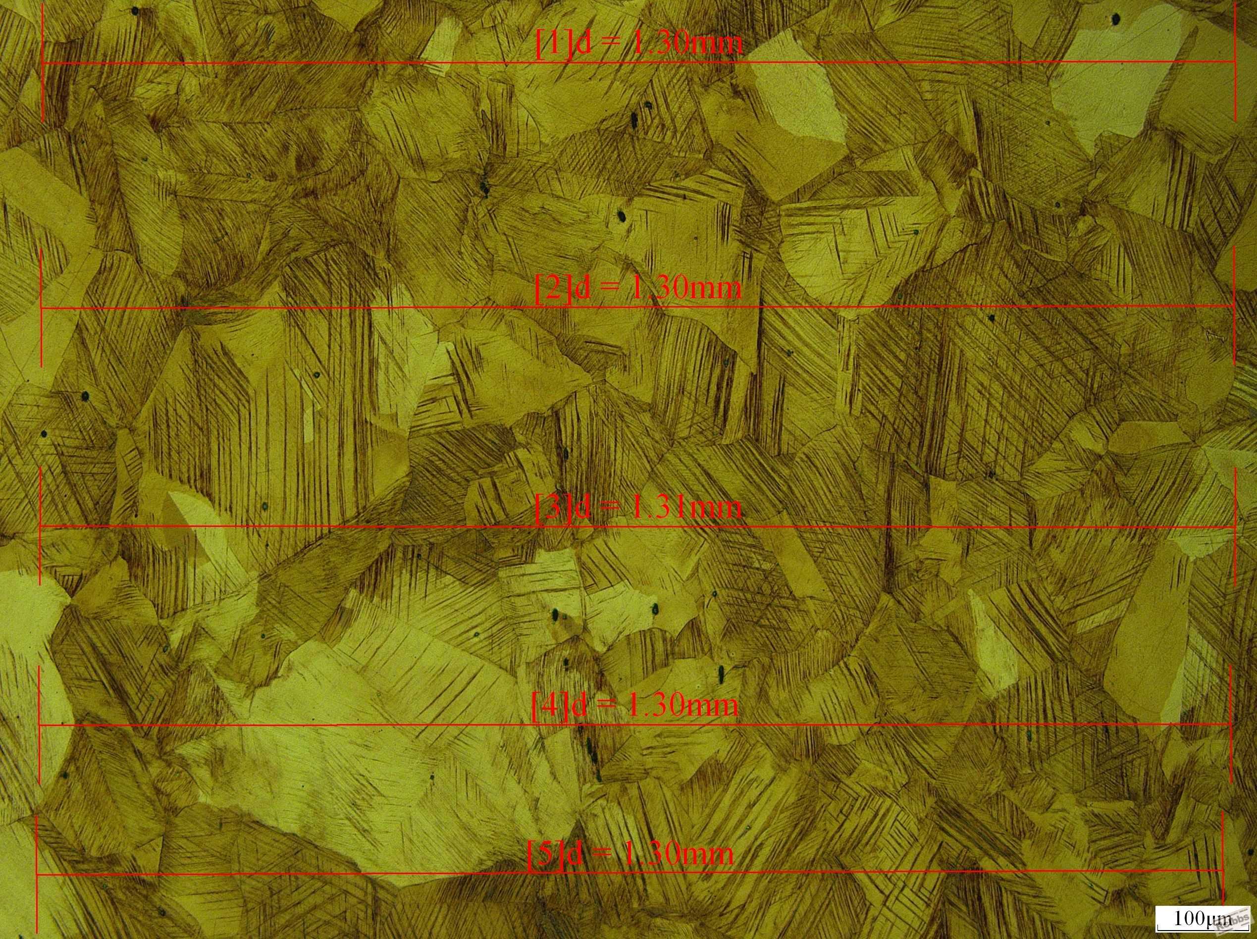 Q13-2-6# 100x  0.16MM.JPG