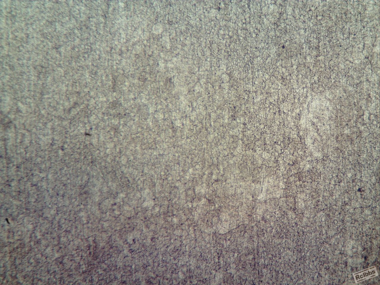 1050zh1001 (1280x960).jpg
