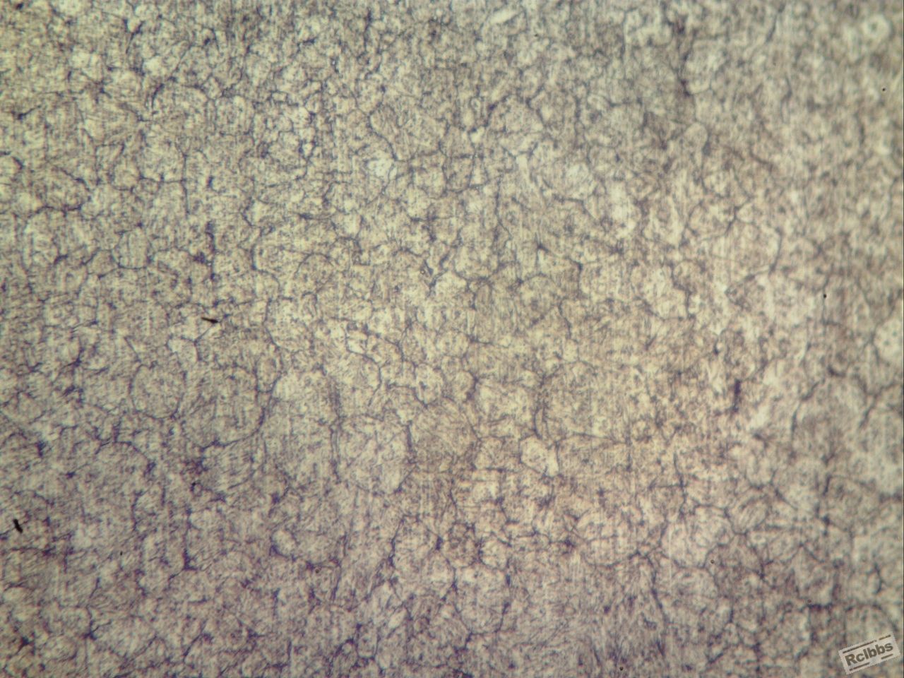 1050zh4002 (1280x960).jpg