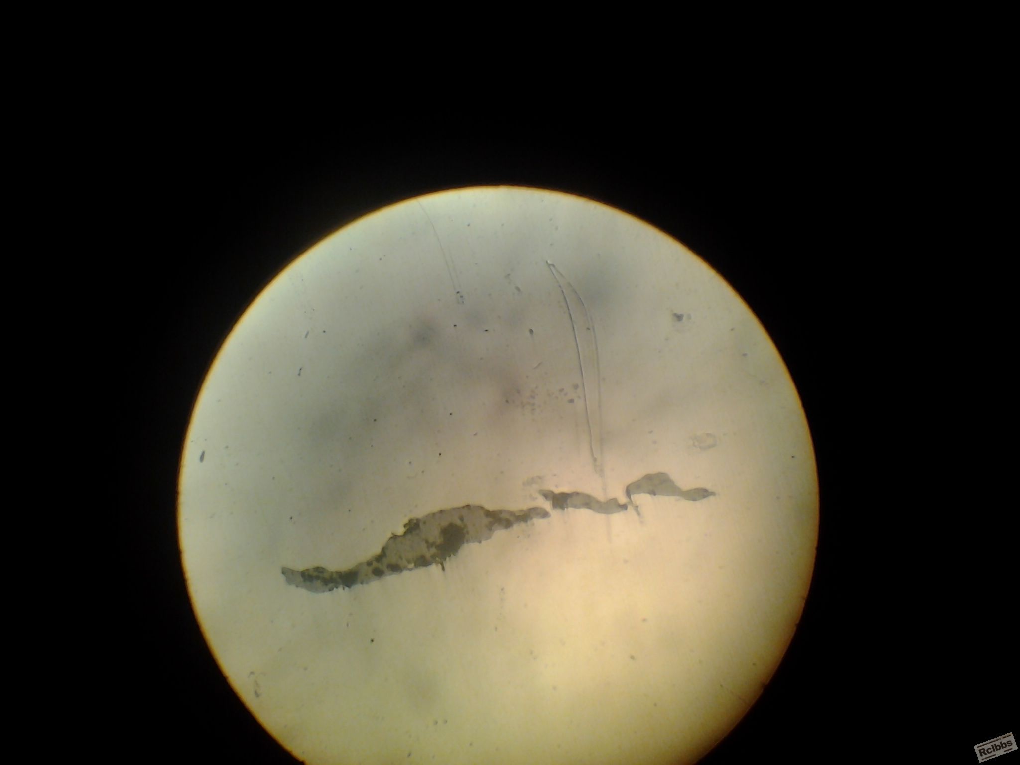 20130513_090117.jpg