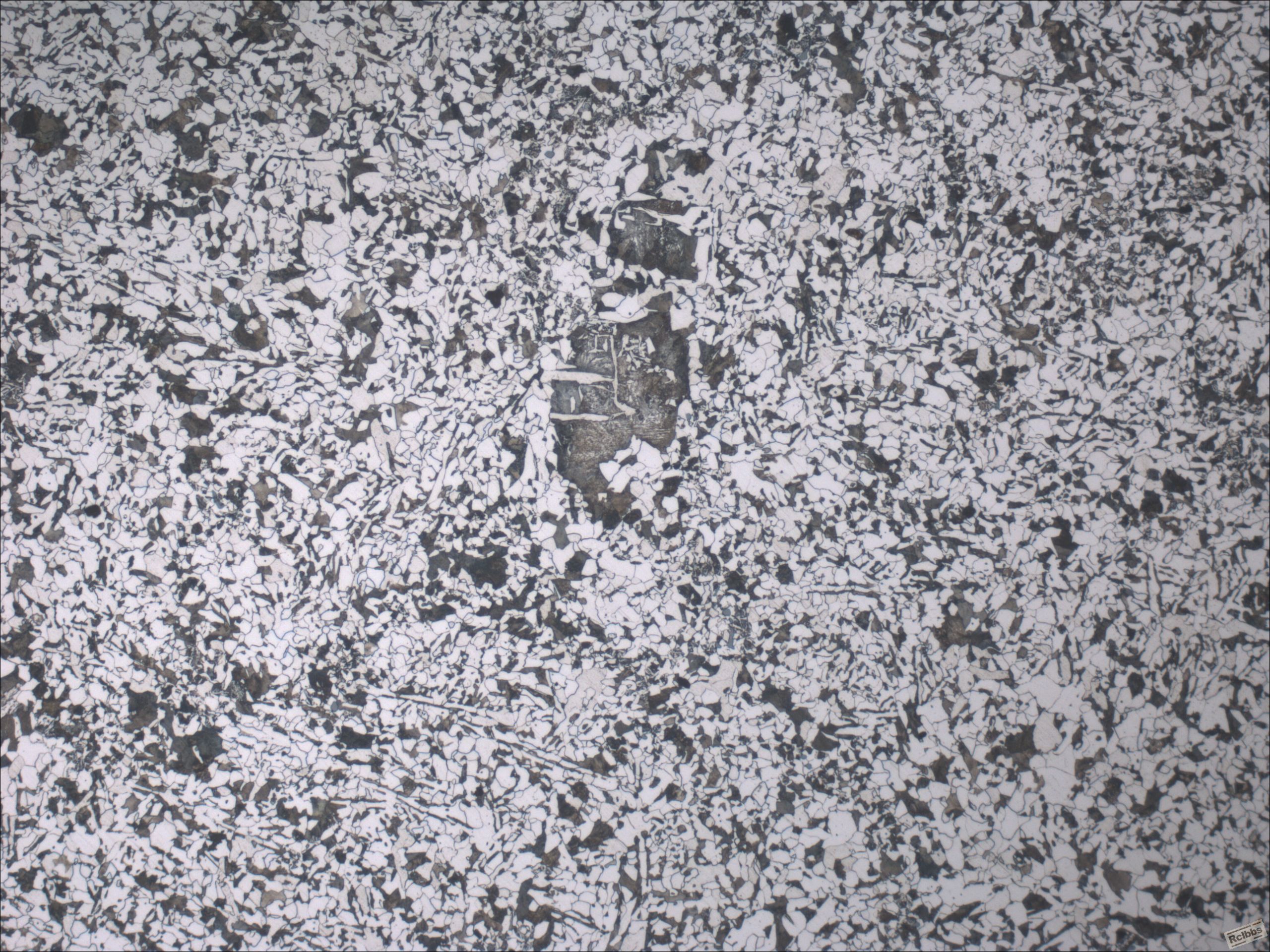 2027-100x.JPG
