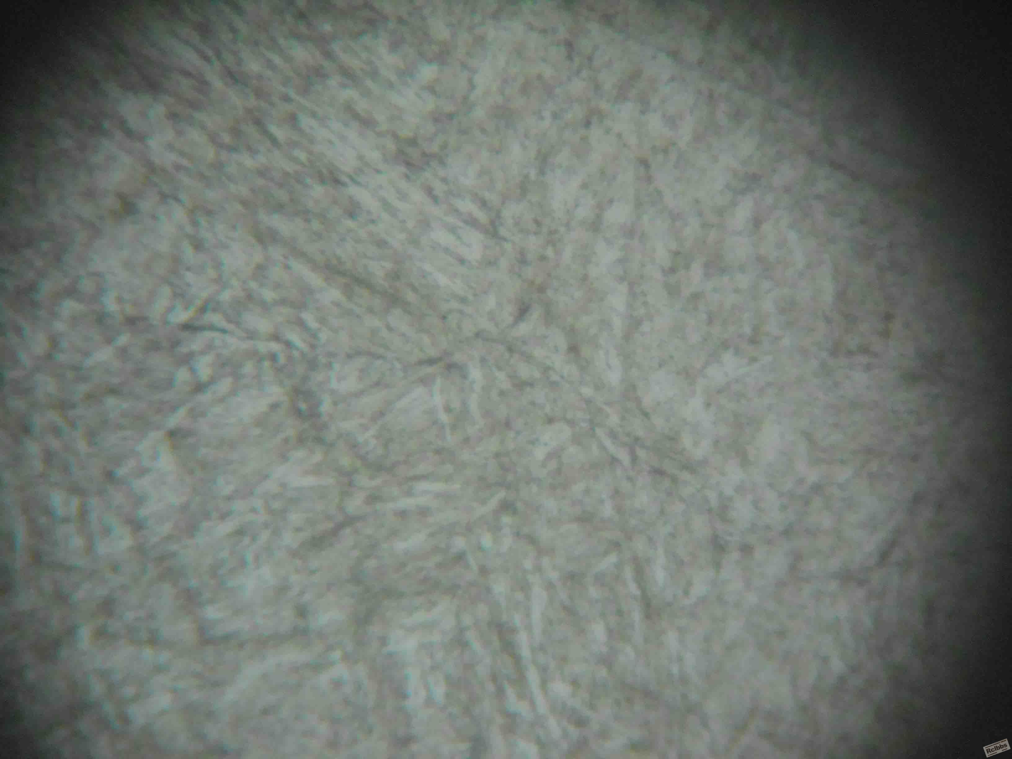 DSCN5482.jpg