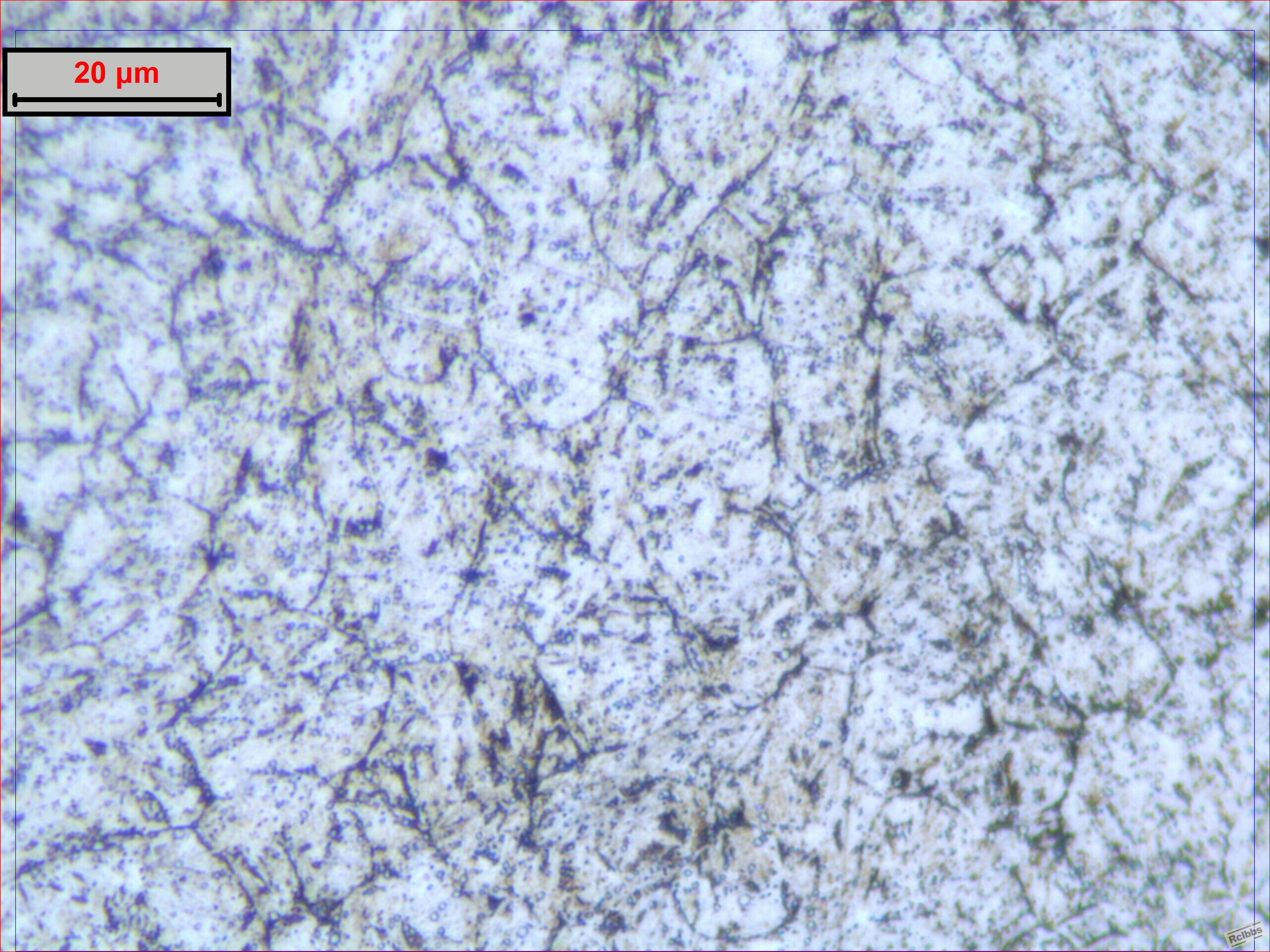 mold steel 1000轴向.jpg