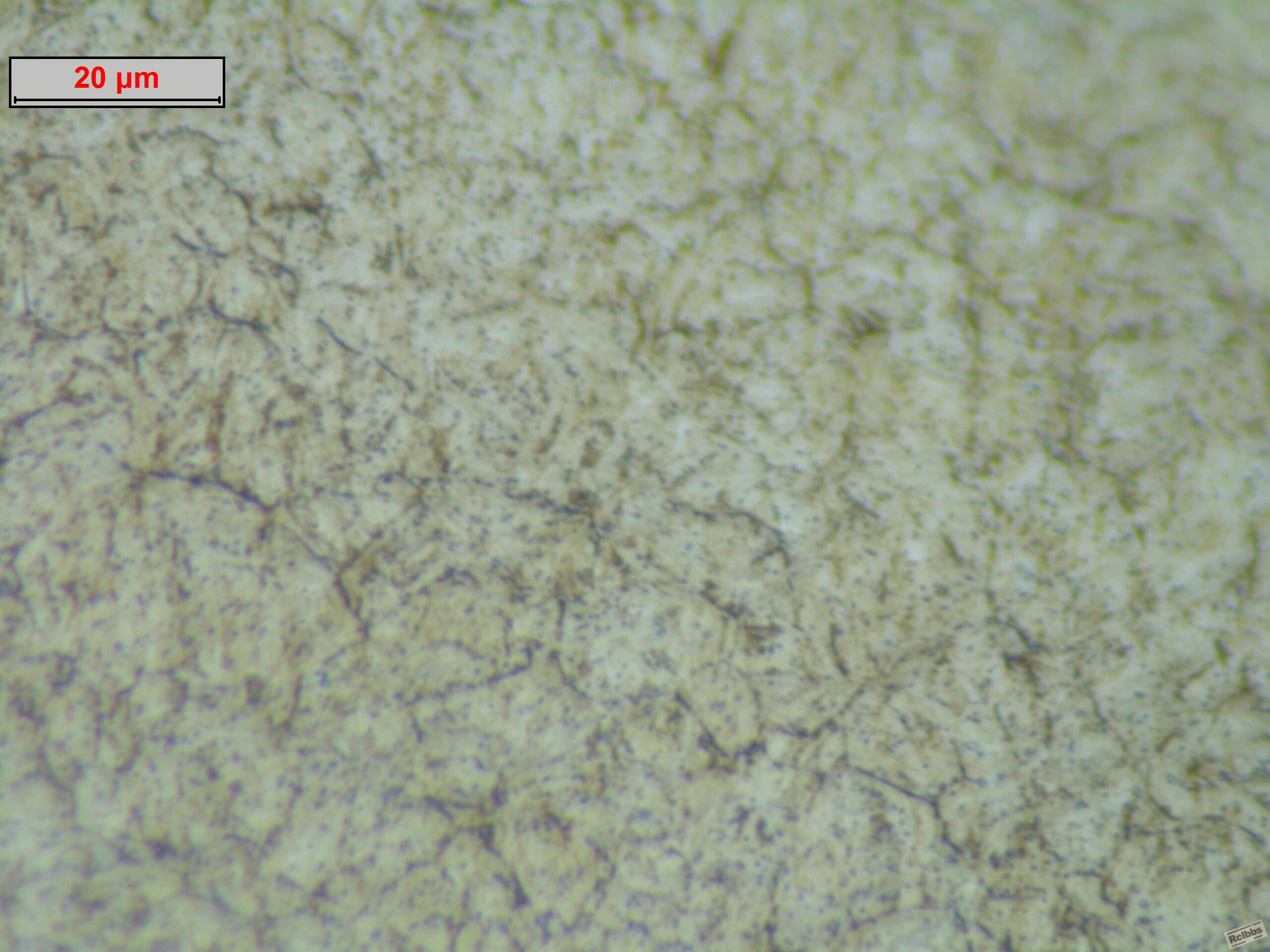 mold steel 1000.jpg