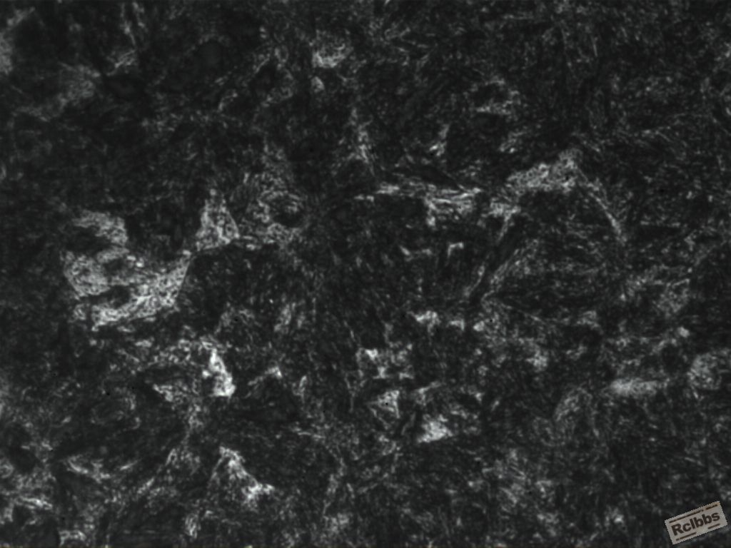 1# 1000×.JPG