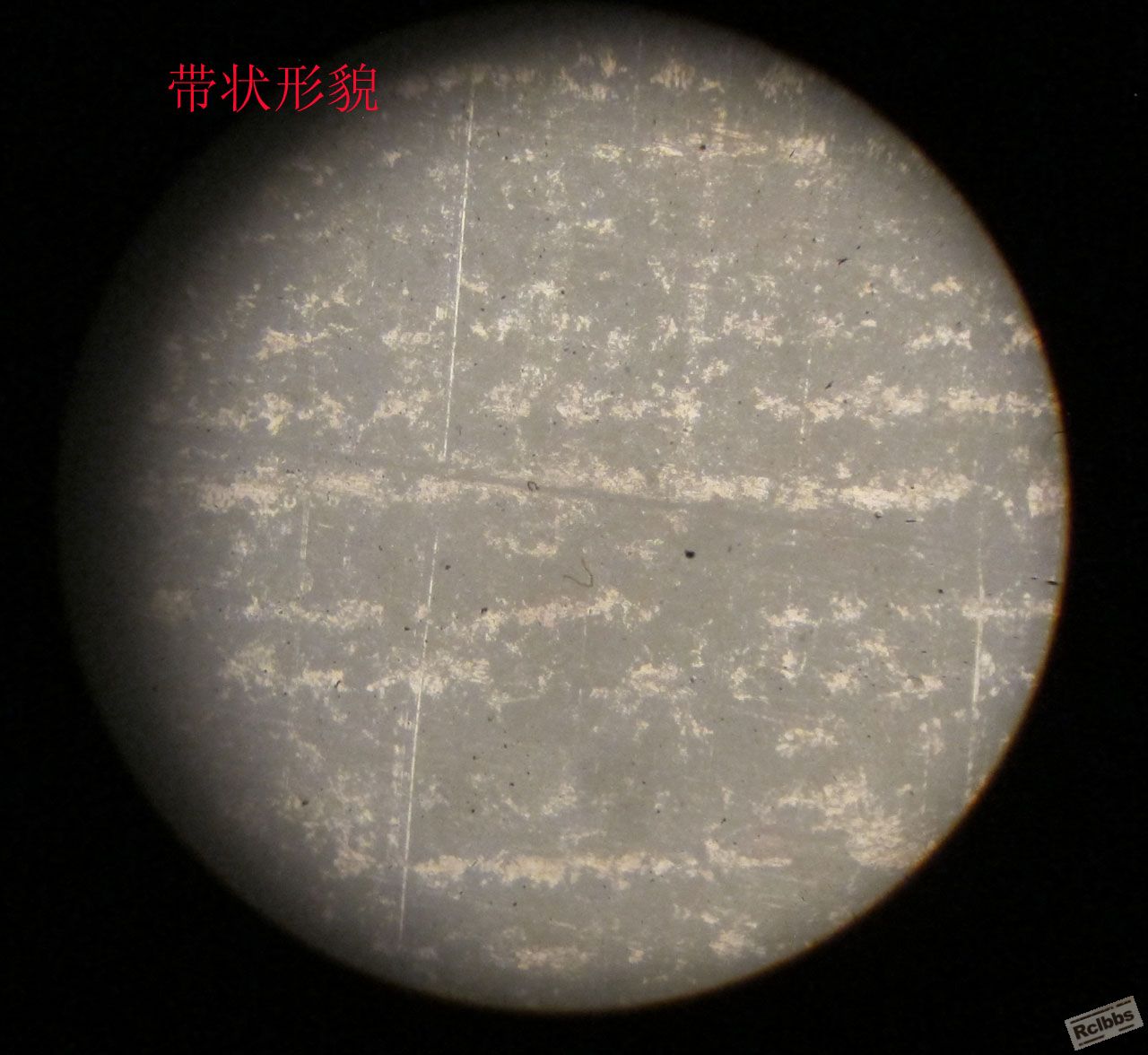 带状组织