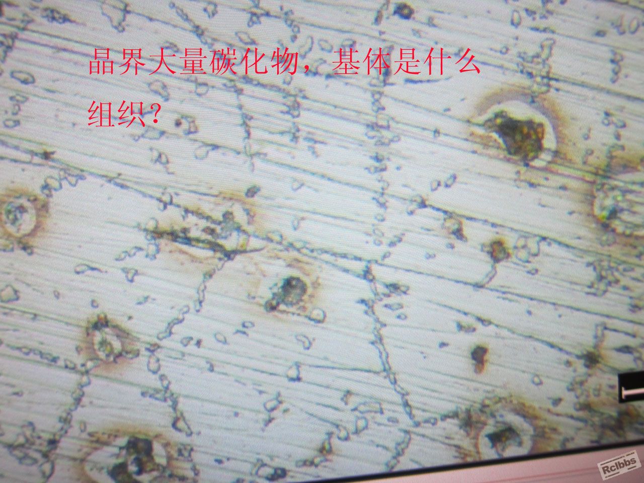 心部网状碳化物