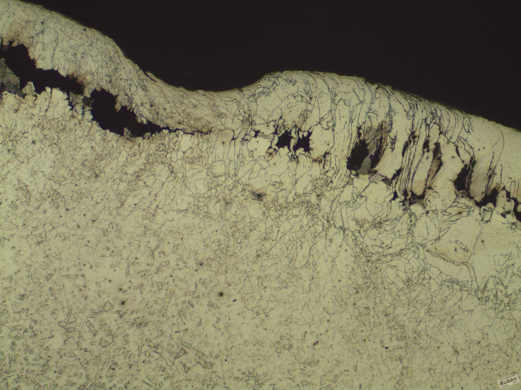 HW1-2-100X.JPG
