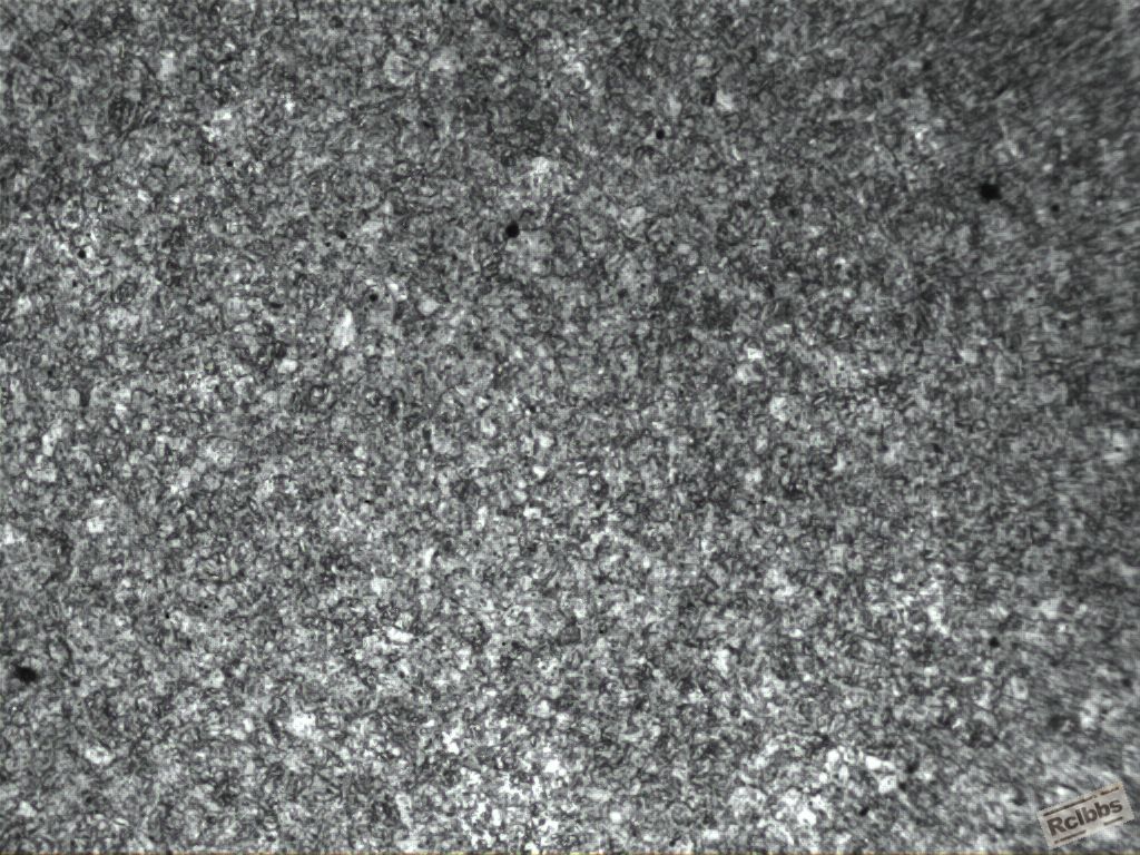 苦味酸腐蚀100.JPG