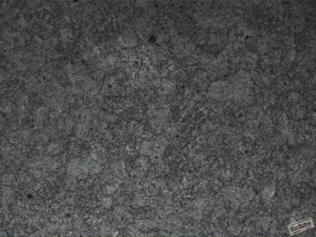 苦味酸腐蚀400.JPG