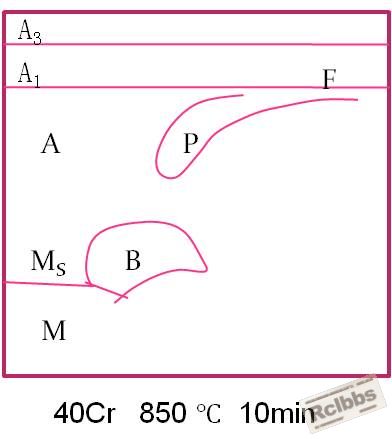 40Cr CCt.png.jpg