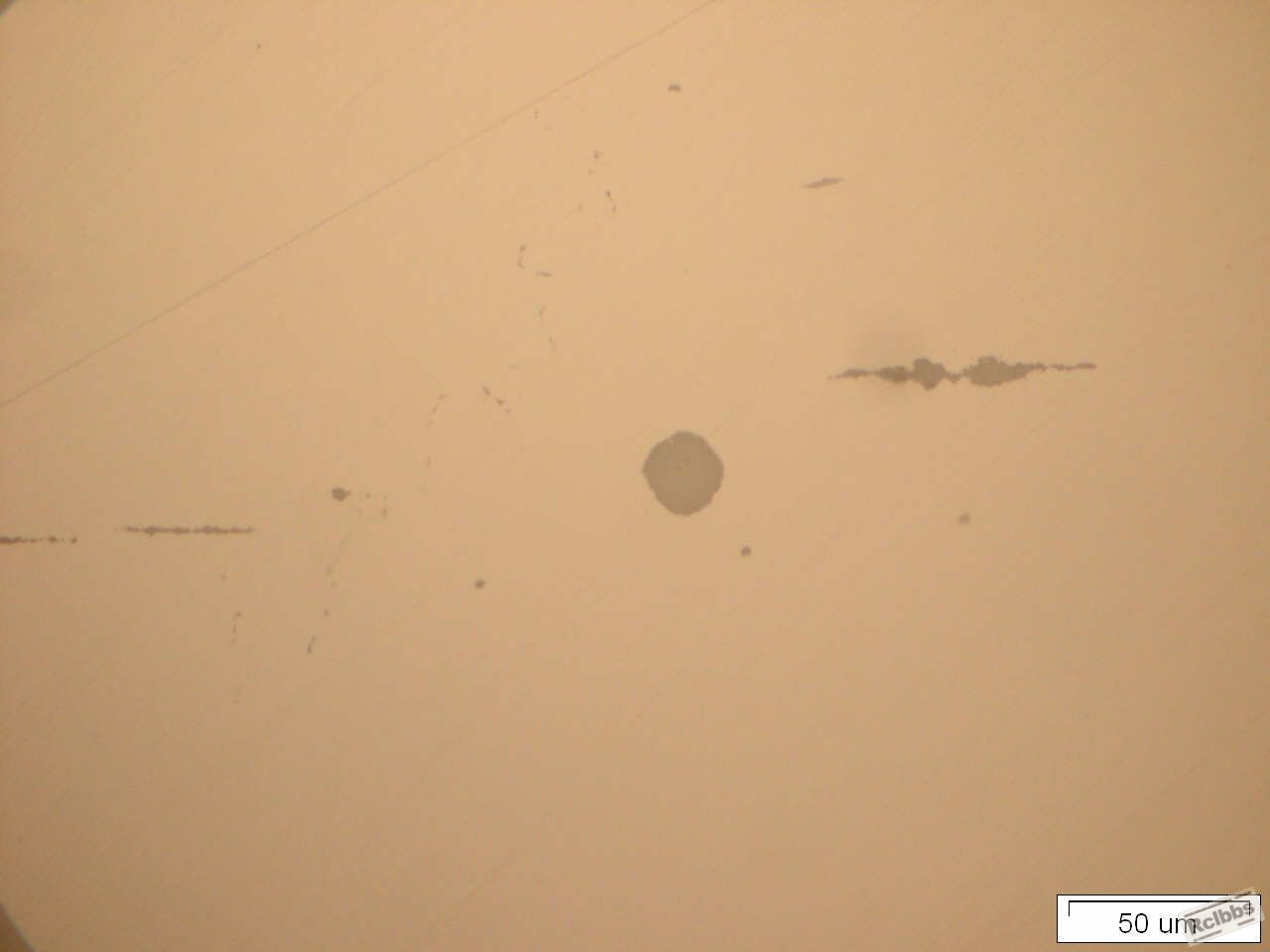 ds.500.jpg