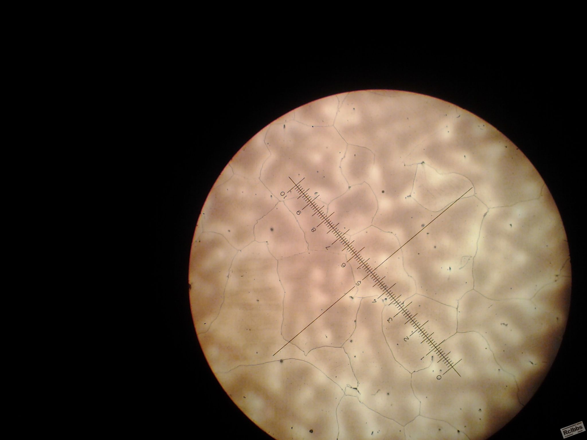 3.5h 100X7.jpg