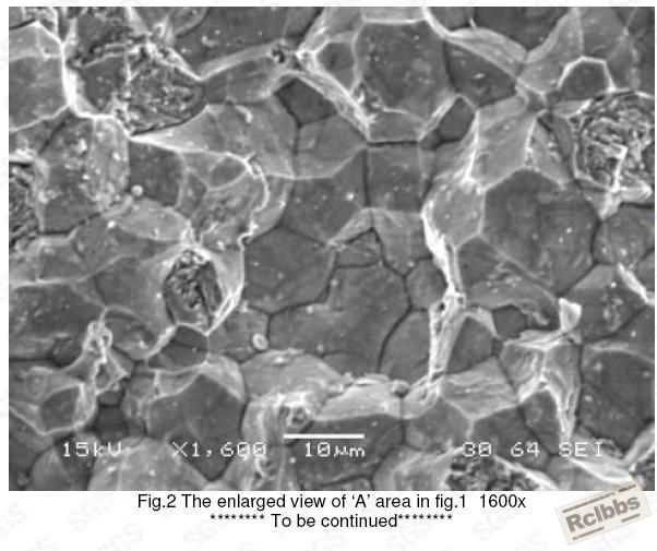 FIG.2.JPG