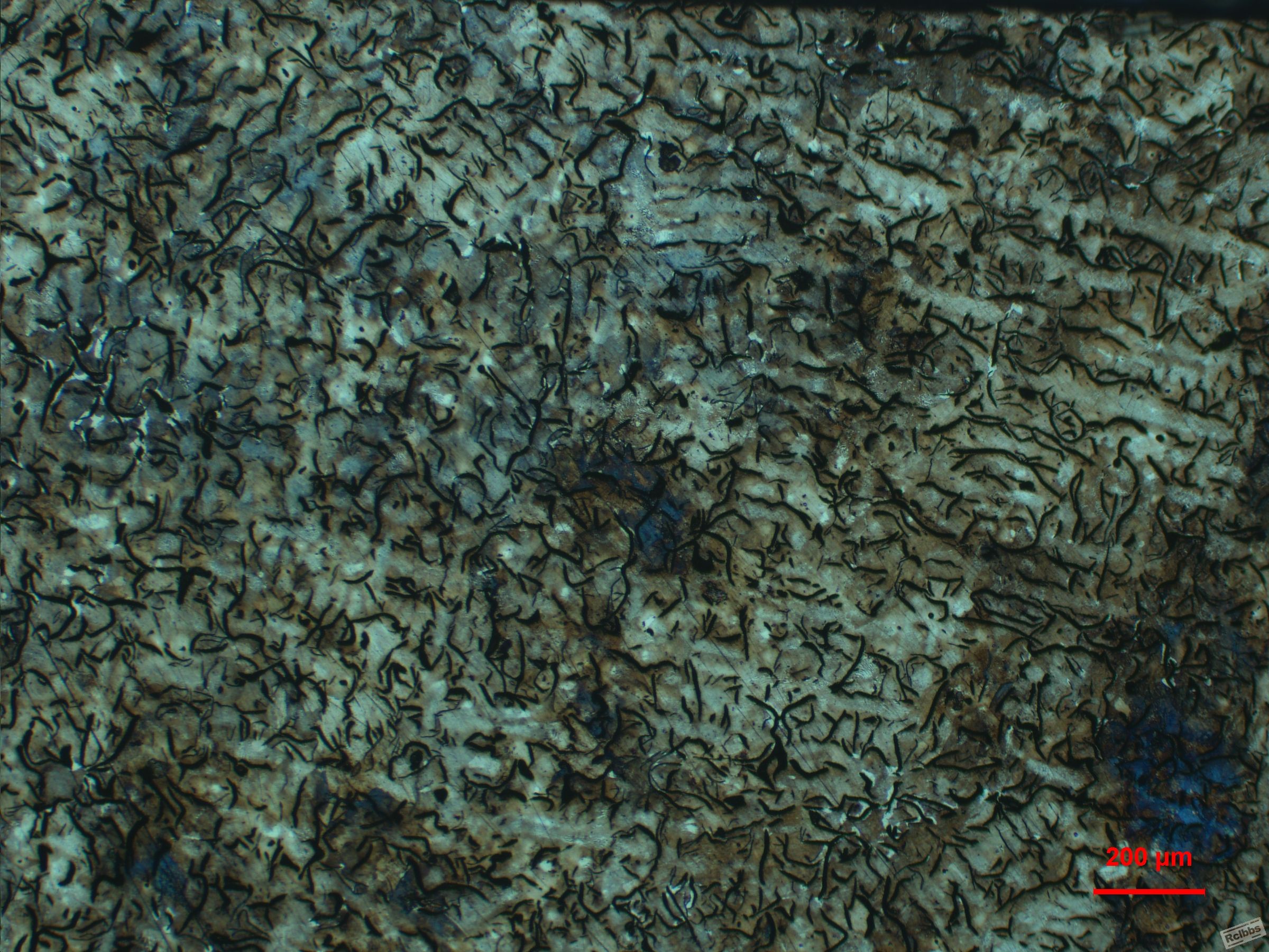 200X