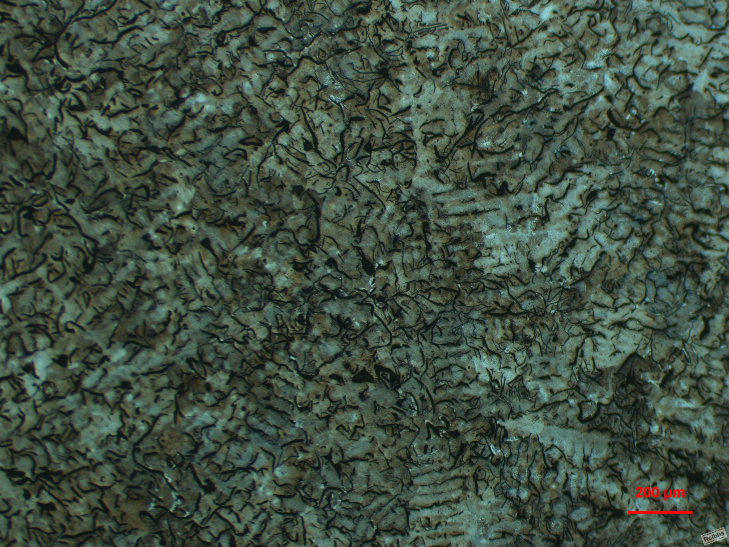 50x
