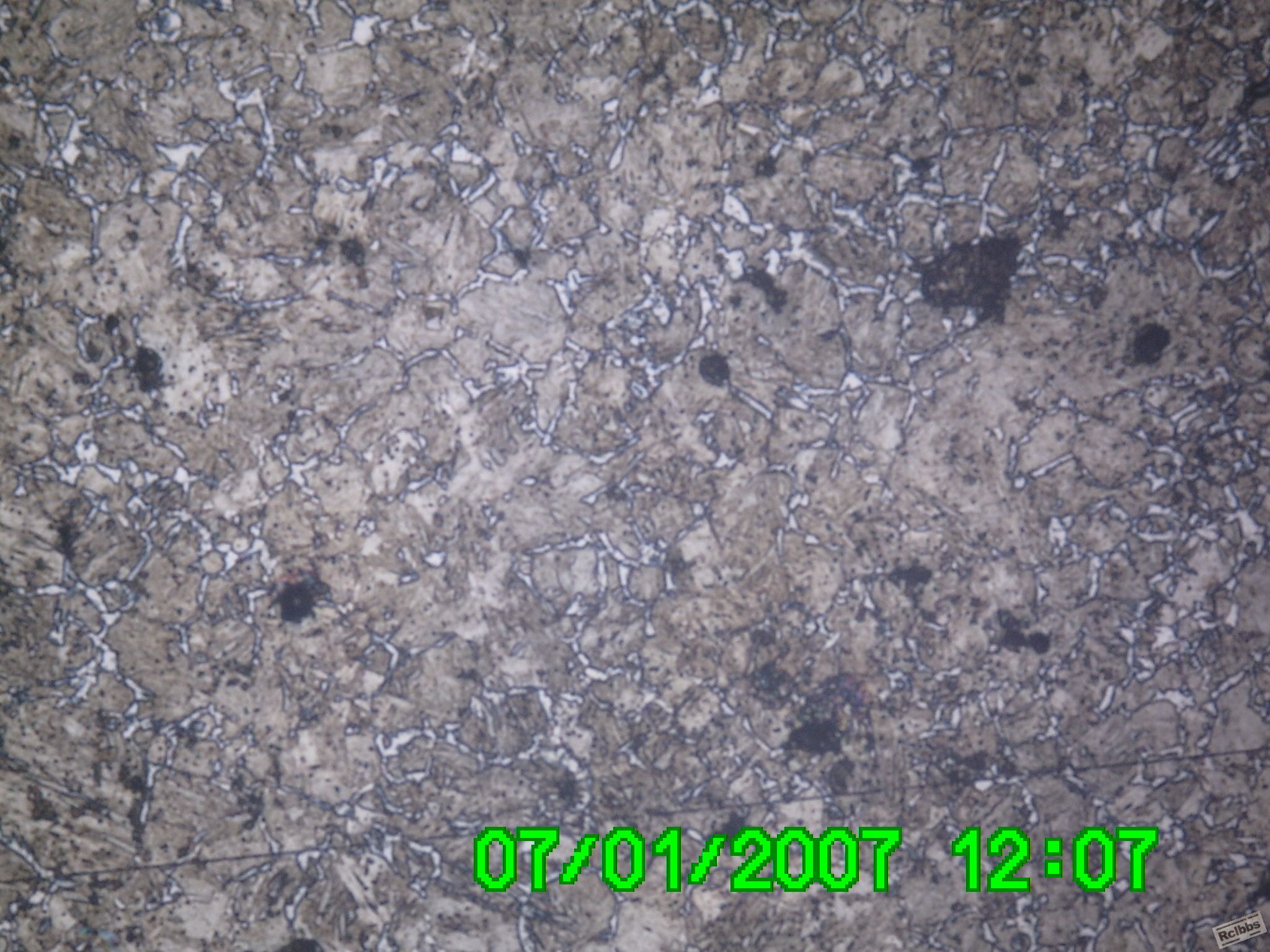 PICT0006.JPG