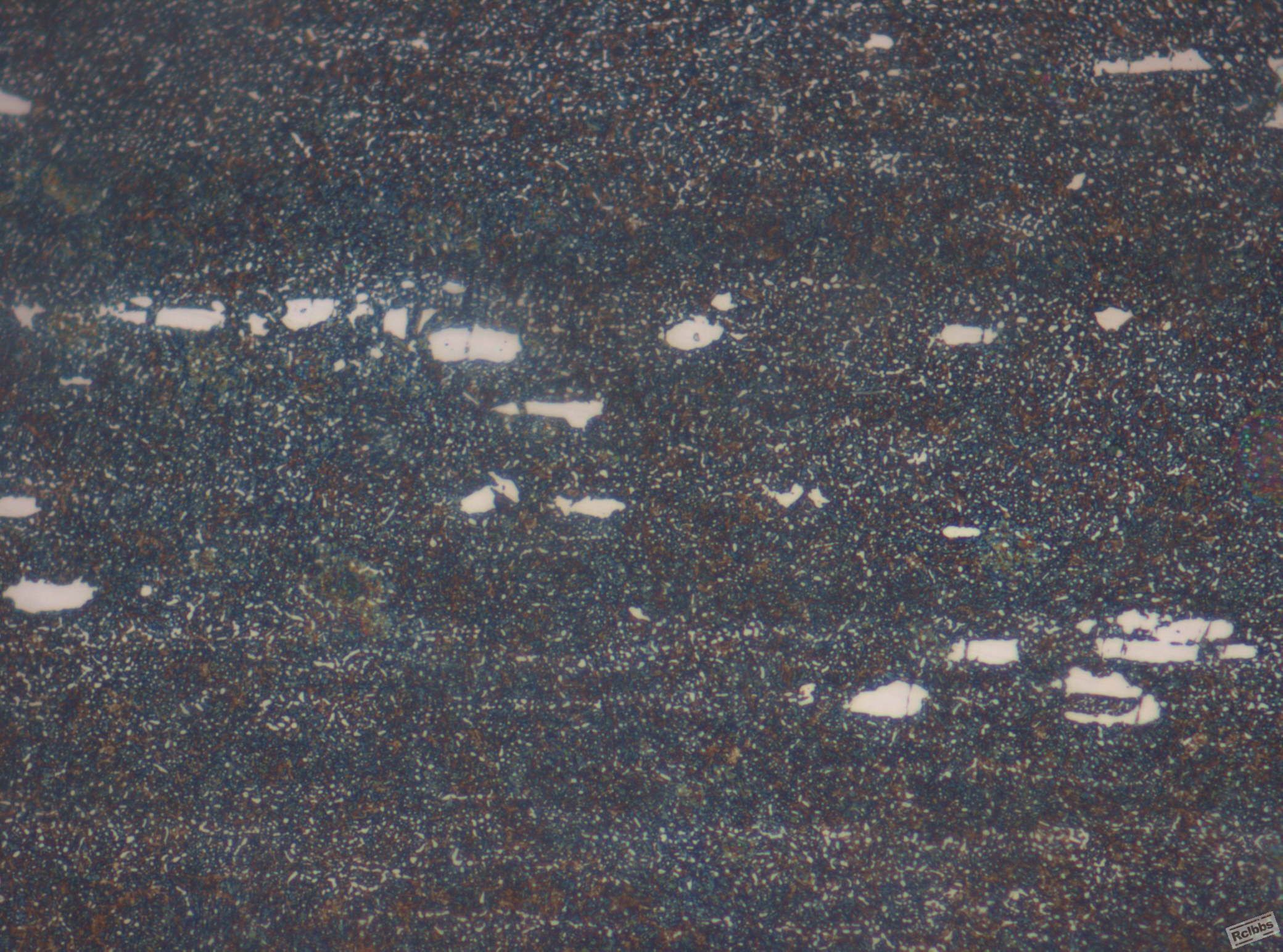 500x-2.jpg